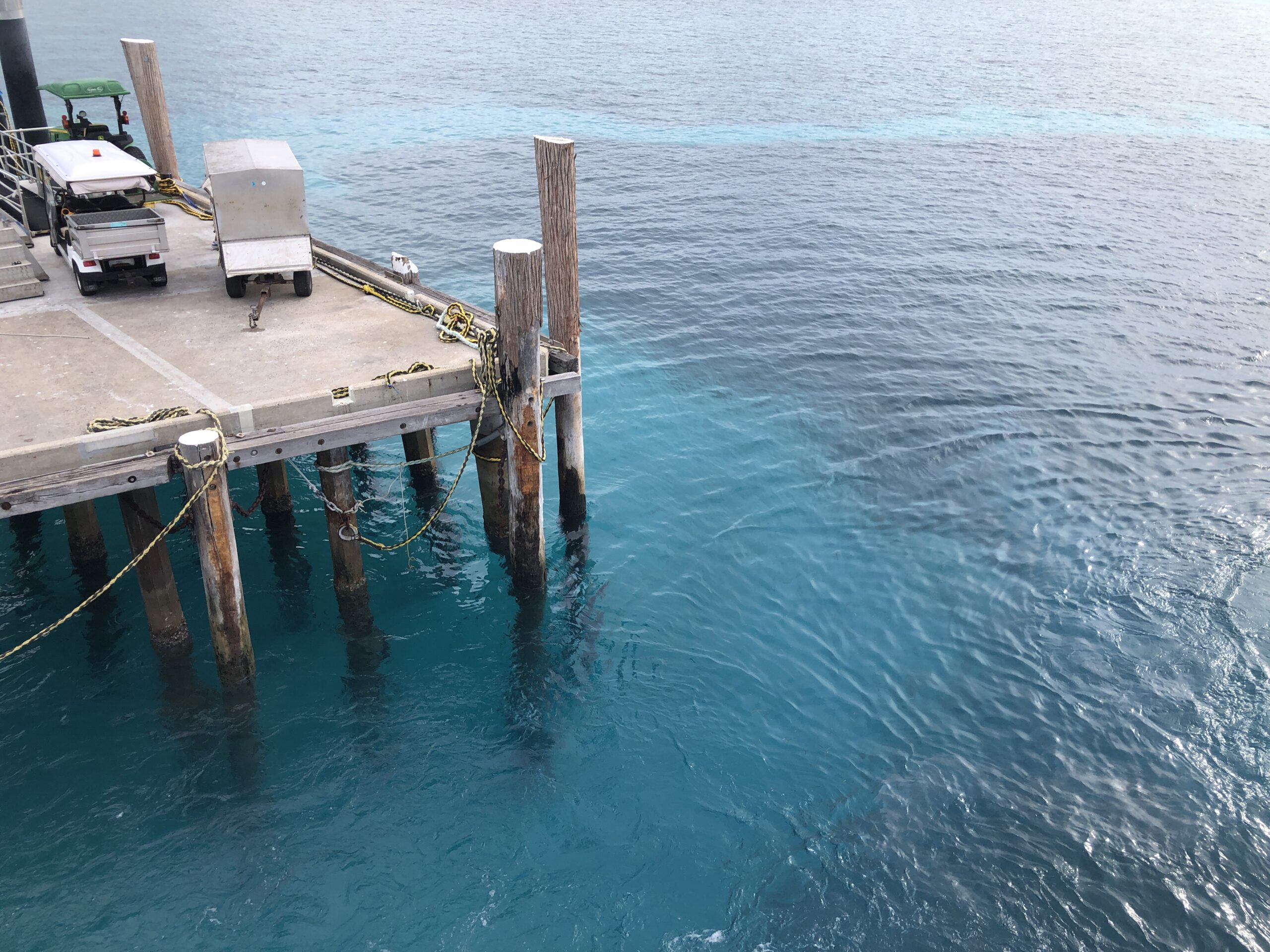 Cairns : barrière de corail et forêt tropicale